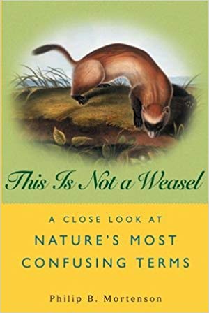  THIS IS NOT A WEASEL A CLOSE LOOK AT NATURE'S MOST 