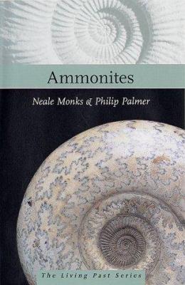 AMMONITES