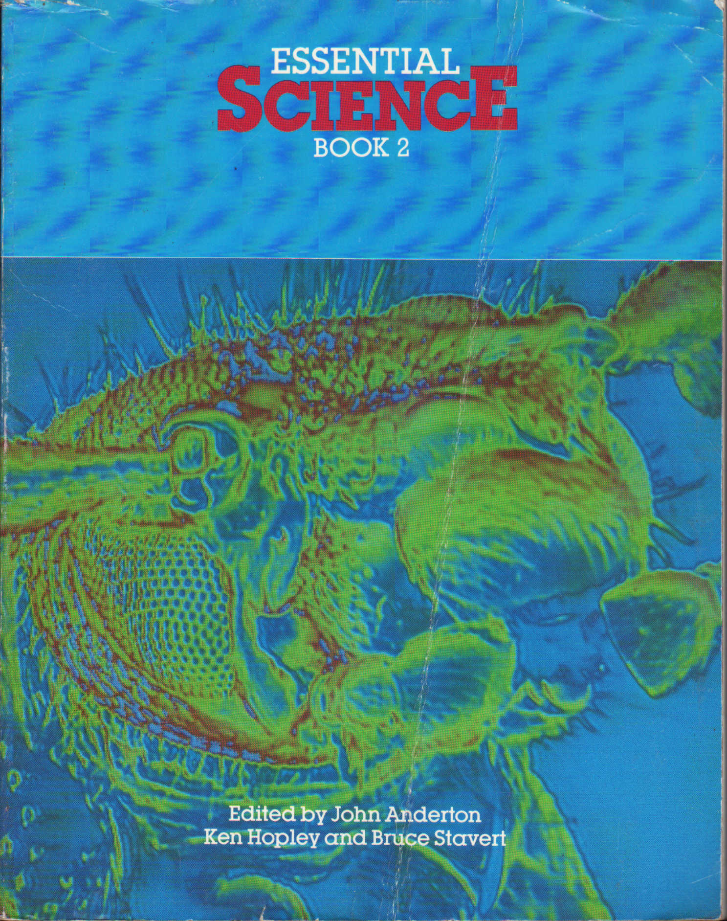 ESSENTIAL SCIENCE BOOK 2