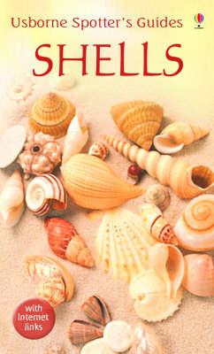 USBORNE SPOTTER'S GUIDE SHELLS