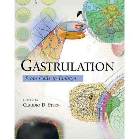 GASTRULATION: FROM CELLS TO  EMBRYO