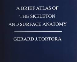A BRIEF ATLAS OF THE SKELETON AND SURFACE ANATOMY TO 