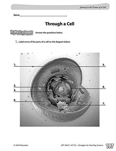 STRATEGIES FOR TEACHING SCIENCE LEVELS 6-12