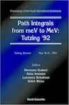 PATH INTEGRALS FROM MEV TO MEV:TUTZING '92.